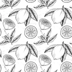 Papier Peint photo autocollant Citrons Modèle sans couture de vecteur dessiné à la main. Collections de citrons. Citron
