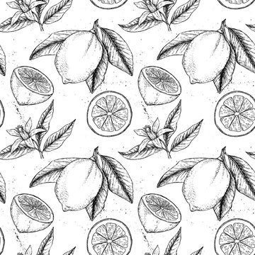 Hand drawn vector seamless pattern. Collections of Lemons. Lemon