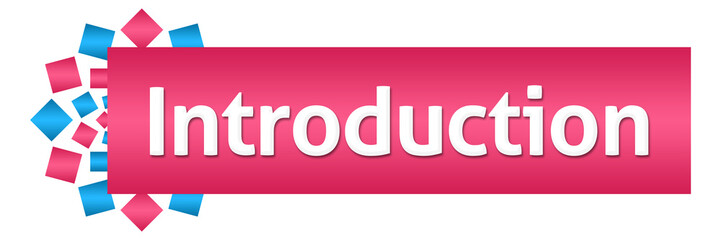 Introduction Pink Blue Squares Circular Horizontal 