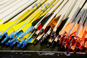 Colorful sport arrows in a row