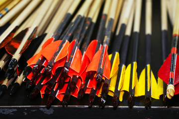A set of modern sport arrows. End of arrows with feathers