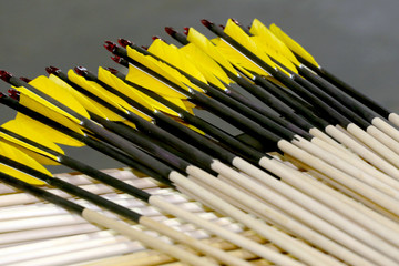 End of sport archery arrows in row