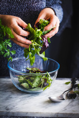 Hand preparing healthy leafy vegetables salad. 