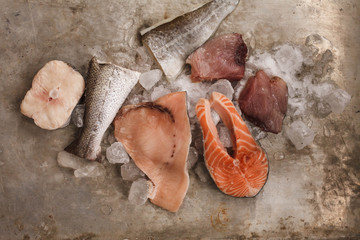 Dieting and sea healthy food. variety fish fillet on ice background.