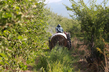 air blast sprayer with a chemical insecticide