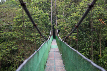 Wiszący most w dżungli / Kostaryka