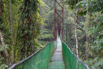 Wiszący most w dżungli / Kostaryka © Rochu_2008