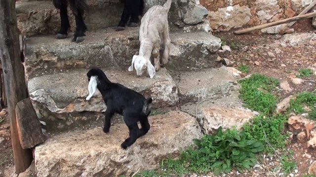 a nanny and two kids