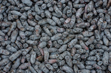 Background of berries