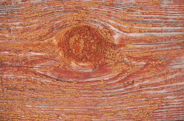 Wood texture with natural pattern. Old paint