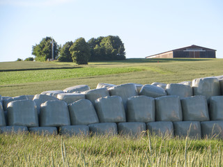 Verpackte Strohrollen