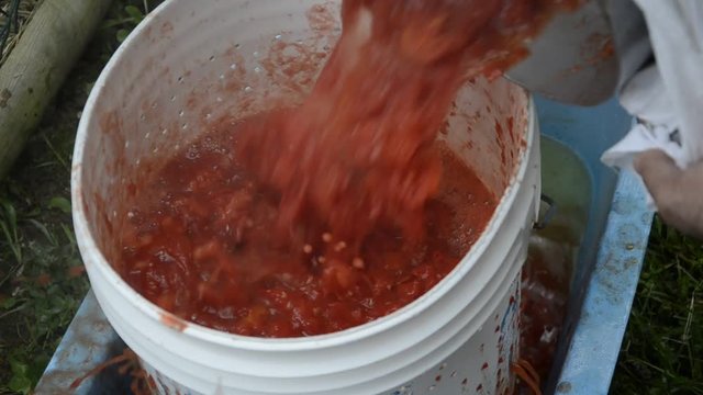San-Marzano-Tomate Pummarola 'e San Marzano Pomodoro S. Marzano dell'Agro Sarnese-Nocerino Sauce Salsa Tomatensauce Sugo Tomato トマトソース Tomatensaus Cucina italiana 番茄沙司 Sos pomidorowy 