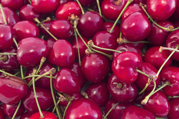 Fresh Ripe Cherries as Background