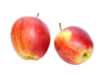 A pair of red apples isolated on a white background