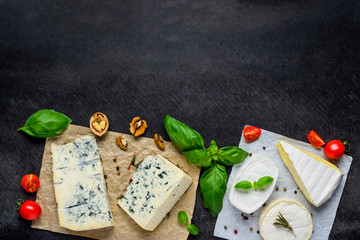 Gorgonzola and Camembert Cheese with Copy Space