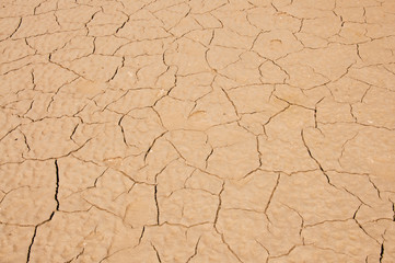 The dry ground