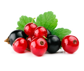 Red and black currants with leaf isolated on white