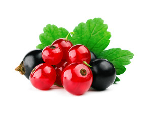 Red and black currants with leaf isolated on white