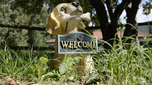 Ала Շուն ನಾಯಿ K&ucirc;&ccedil;ik ໝາ کتا K&ouml;pek หมา 犬 Inja 개 Canis イヌ lupus כלב הבית familiaris &Sigma;&kappa;ύ&lambda;&omicron;&sigmaf; Haushund Pies domowy Собака Cane Perro Dog Chien