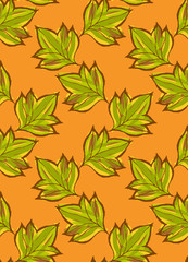 Green pointy leaves on green