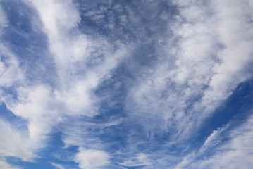  white clouds of all shapes in the blue sky
