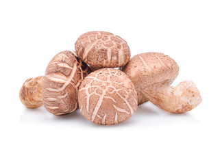Shiitake Mushrooms on white background