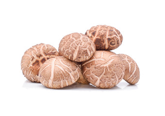 Shiitake Mushrooms on white background