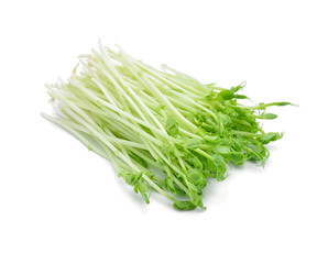 Snow pea sprouts on white background