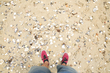 Point of view of feet on a beach with seashells.