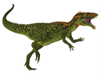 Masiakasaurus Dinosaur Body - Masiakasaurus was a theropod dinosaur that lived in Madagascar during the Cretaceous period. 