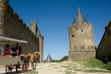 Fototapeten de vestingstad carcassonne in delanguedoc-rousillon in Frankrijk © twanwiermans