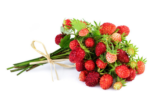 Bundle of wild strawberries isolated on white.