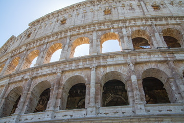 Obraz premium Ruins of Coliseum, Rome