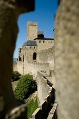 Fototapeten de vestingstad carcassonne in delanguedoc-rousillon in Frankrijk © twanwiermans