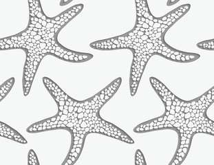 Sea star perforated with 3D shadow effect