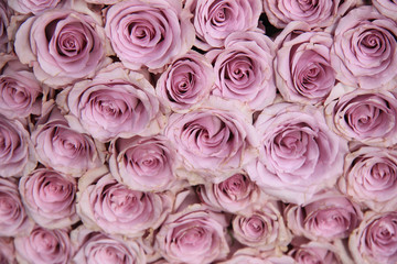 Purple rose wedding arrangement