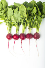 fresh radishes