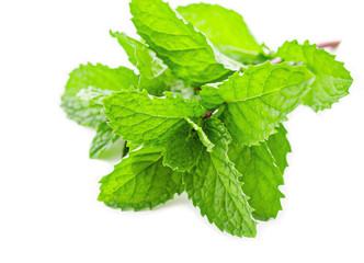 Fresh raw mint leaves.