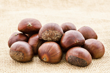 Fresh chestnuts heap.