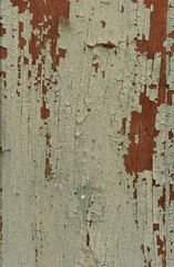 Remains of paint on old wood,green