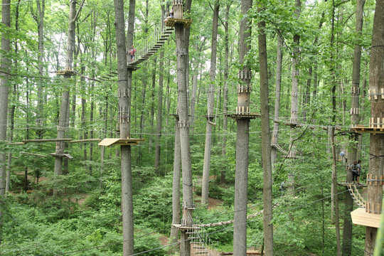 Zipline Bridges - Powered by Adobe