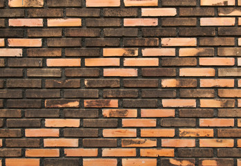 Fototapeta premium Background of brick wall