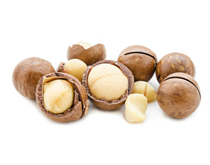 Macadamia nut on white.
