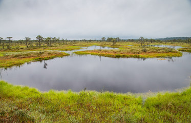 Landscape of Kakerdaja bog in Korvemaa, Estoni