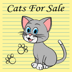 Cats For Sale Means On Market And Buy