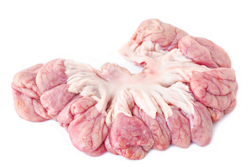 internal organs of pig.
