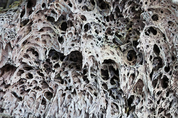 Texture of a lava