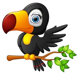 Naklejka premium Cute toucan bird cartoon 