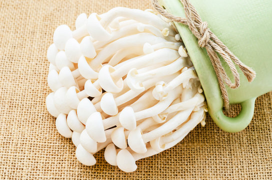 white shimeji mushrooms.