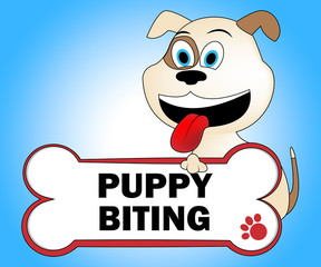 Puppy Biting Shows Aggressive Puppies And Aggression